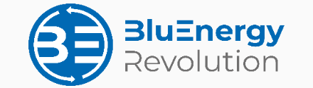 logo Bluenergy Revolution