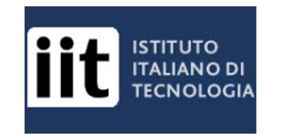 logo IIT